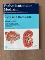 Thieme - Netter Farbatlanten der Medizin - Niere und Harnwege Baden-Württemberg - Offenburg Vorschau
