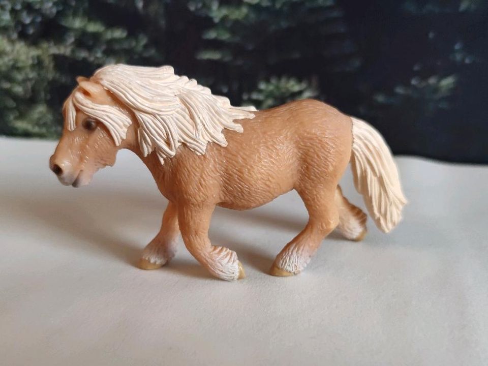 Schleich Scheitland Pony 2004 Sondermodell ❤️ in Ichtershausen