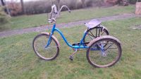 Vintage Dreirad Trike 70er  24 Zoll Schleswig-Holstein - Neuenkirchen Vorschau