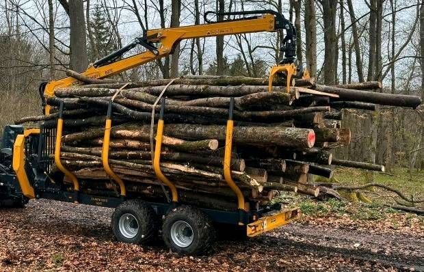 Transport von Stammolz/ Brennholz/ Polter in Driedorf