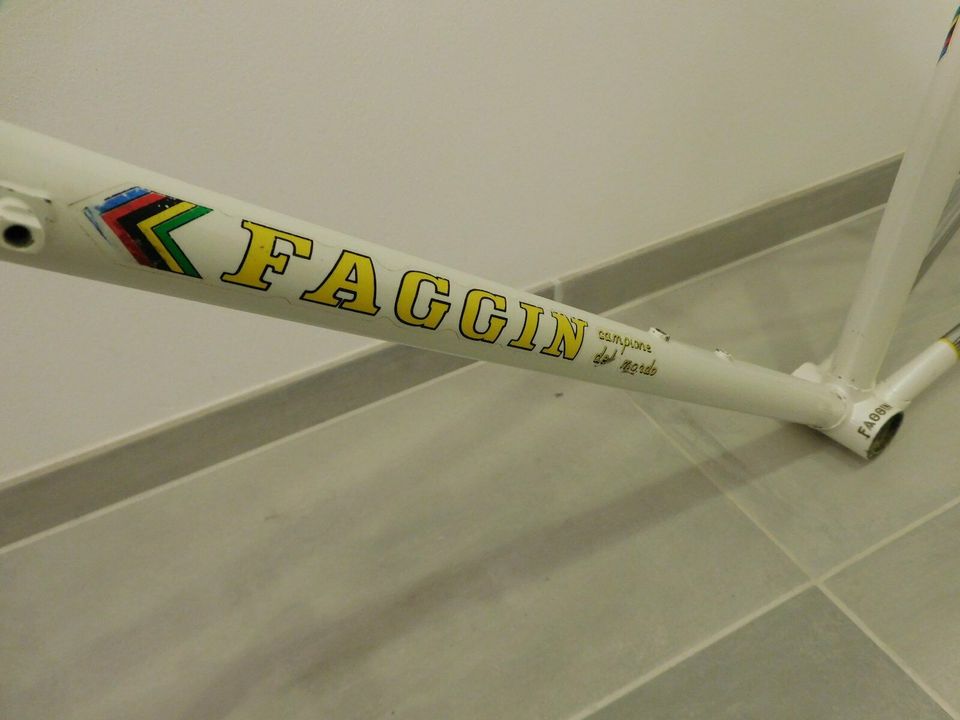 Rennrad "FAGGIN" / Gipiemme RH 56 cm in Dortmund