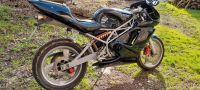 Sachs XTC 125ccm 4 Takt Sportler A1 B196 Sachsen-Anhalt - Halle Vorschau