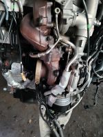 Motor VW T6 2.0 TDI CXE CXEB 204PS TRANSPORTER MULTIVAN Berlin - Wilmersdorf Vorschau