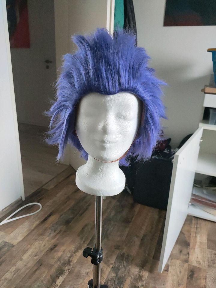 Hitoshi Shinsou Perücke/Wig (Kasou) in Geilenkirchen