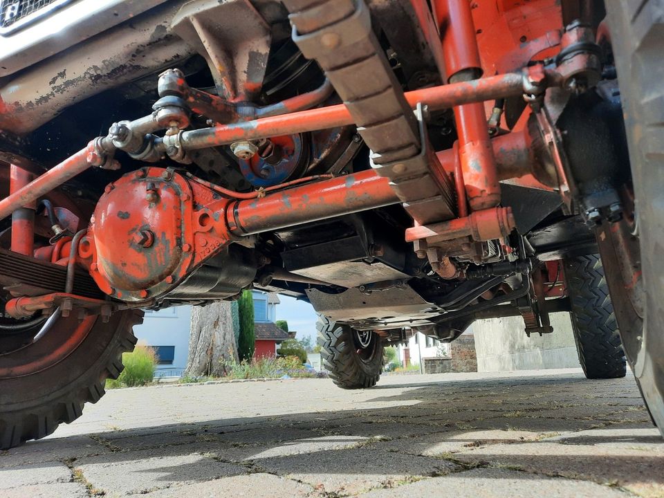 Jeep Willys/ H-Zulassung/Schweizer Fahrzeug in Emmendingen