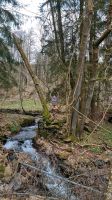 Abenteuerwanderung bei den Nagelsteiner Wasserfællen Bayern - Kirchroth Vorschau
