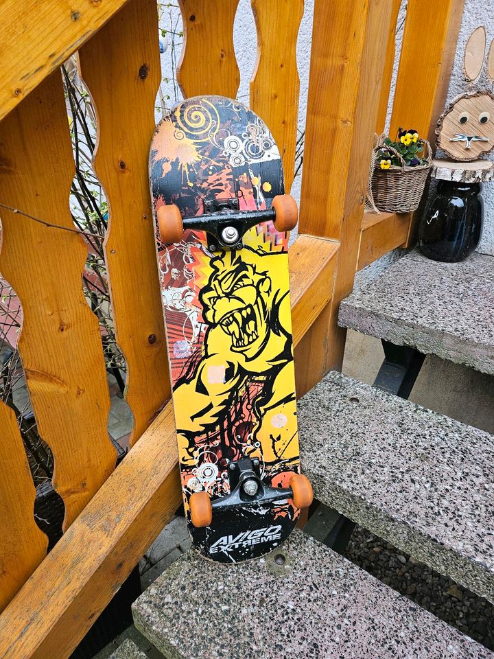 Avigo extreme Skateboard in Borna