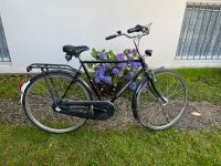 Herrenrad Noordholland Hollandrad Herren 28“ Fahrrad Bochum - Bochum-Süd Vorschau