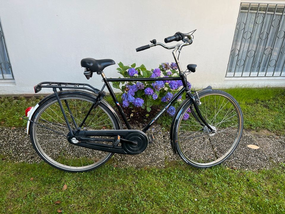 Herrenrad Noordholland Hollandrad Herren 28“ Fahrrad in Bochum