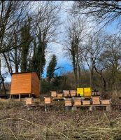 Bienen Wirtschaftsvölker Carnica DNM Rheinland-Pfalz - Bad Neuenahr-Ahrweiler Vorschau