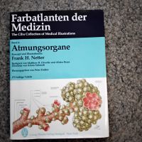 Netter Farbatlanten der Medizin / Thieme / Band 4 / Atmungsorgane Sachsen - Aue Vorschau