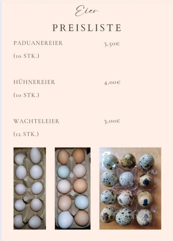 Frische Eier zu verkaufen in Ilmtal