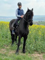 Reitbeteiligung reiter sucht pferd Thüringen - Berka/Werra Vorschau