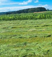 Suche Pachtflächen, Wiesen, Weiden und Ackerflächen Bayern - Egling Vorschau