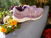 Asics Gel- Cumulus 24 Schuhe Laufschuhe Gr. 42 Nürnberg (Mittelfr) - Südoststadt Vorschau