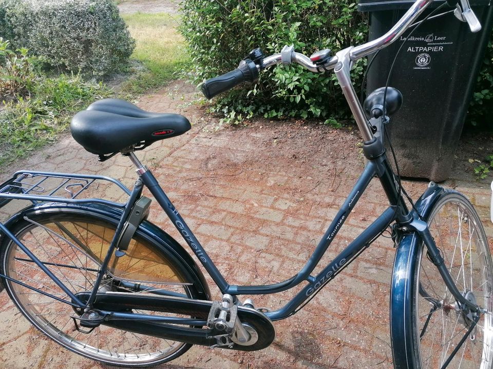 Fahrrad gebraucht Gazelle in Leer (Ostfriesland)