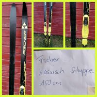 Langlauf Ski Schuppe Fischer klassik 150cm Bayern - Vachendorf Vorschau