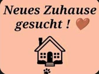 Kleine, süße Wohnung gesucht in Eutin