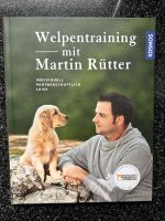 Welpentraining mit Martin Rütter Nordrhein-Westfalen - Isselburg Vorschau