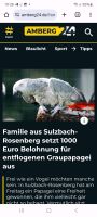 Papagei 1000€ Belohnung Bayern - Sulzbach-Rosenberg Vorschau