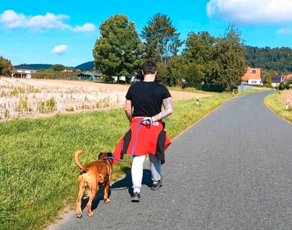 Hundeschule Einzel-/Intensivtraining ab Mitte Mai freie Plätze in Hessisch Oldendorf