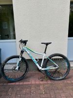 Carver PHT 120 Lady Damen Mountainbike MTB Hardtail Bonn - Nordstadt  Vorschau