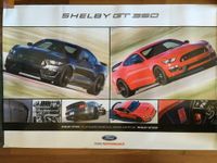 2016 Ford Mustang Shelby GT 350 Poster Showroomposter in 91x61 cm Hessen - Kassel Vorschau