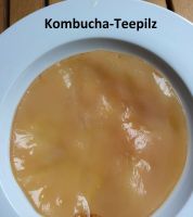 Kombucha, Teepilz, Kefirknolle, Milchkefir, z.Zt. nicht verfügbar Niedersachsen - Wolfenbüttel Vorschau