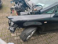 Seat Leon 1P Kotflügel Seitenwand vorne links LC9Z Nordrhein-Westfalen - Dorsten Vorschau