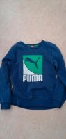 Puma Sweatshirt Baden-Württemberg - Hardheim Vorschau