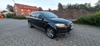 Audi q7 4.2 TDI Quattro 340PS Niedersachsen - Munster Vorschau