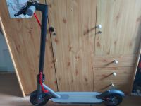 E-Roller/Scooter Nordrhein-Westfalen - Krefeld Vorschau