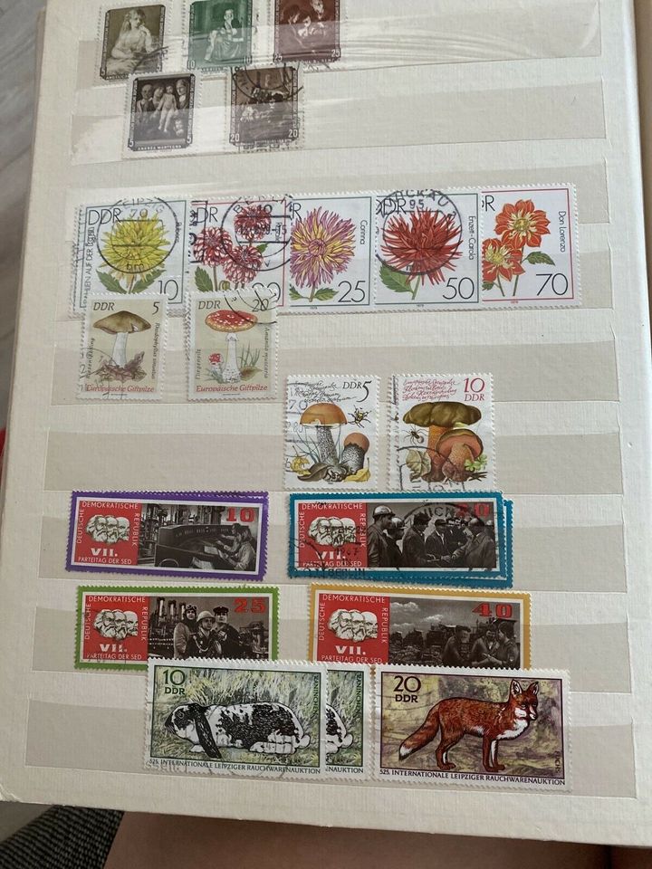 Briefmarken Alben und Erstmarkenbriefe in Leipzig
