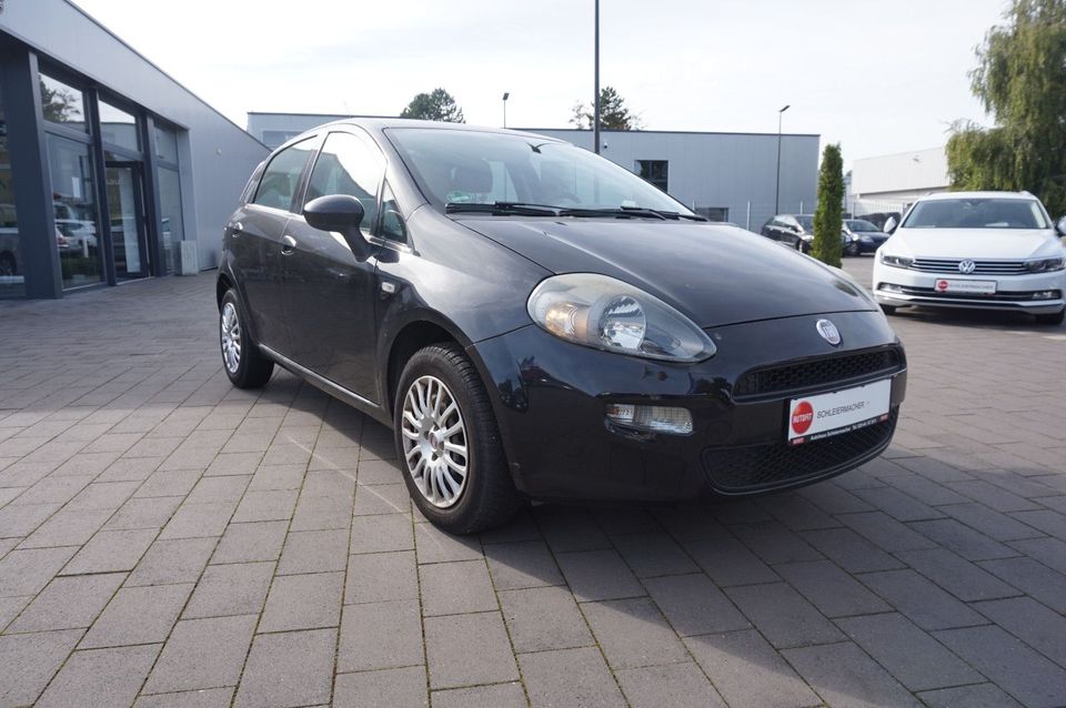 Fiat Punto in Rietberg