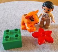 Lego Duplo Zoo Set Zoo Tierärztin mit Tigerbaby Schwerin - Weststadt Vorschau