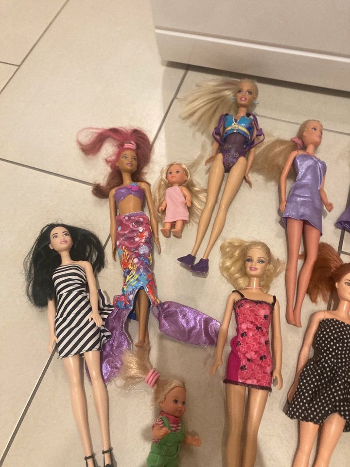Barbie Konvolut in Surwold