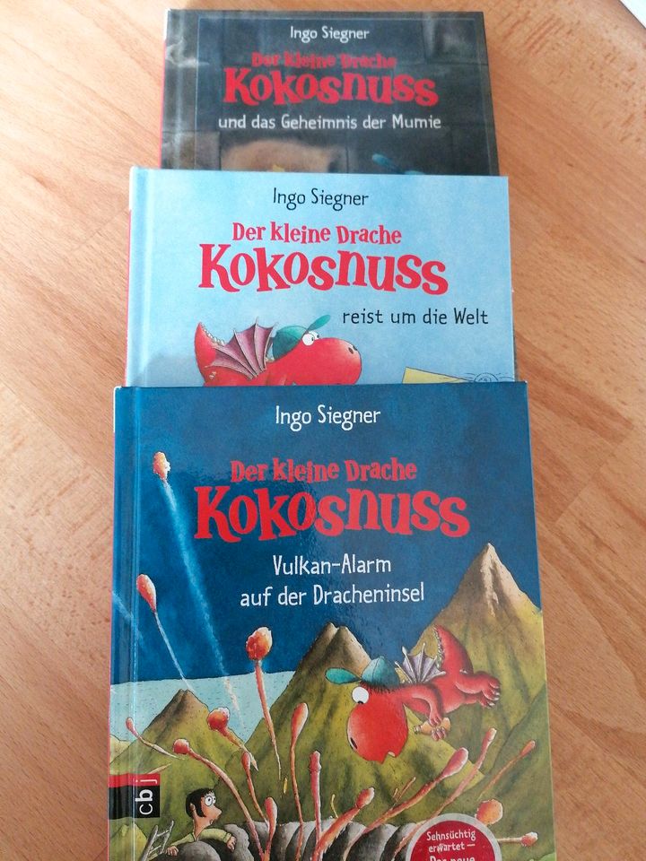 Der kleine Drache Kokosnuss 3 Bücher in Südbrookmerland