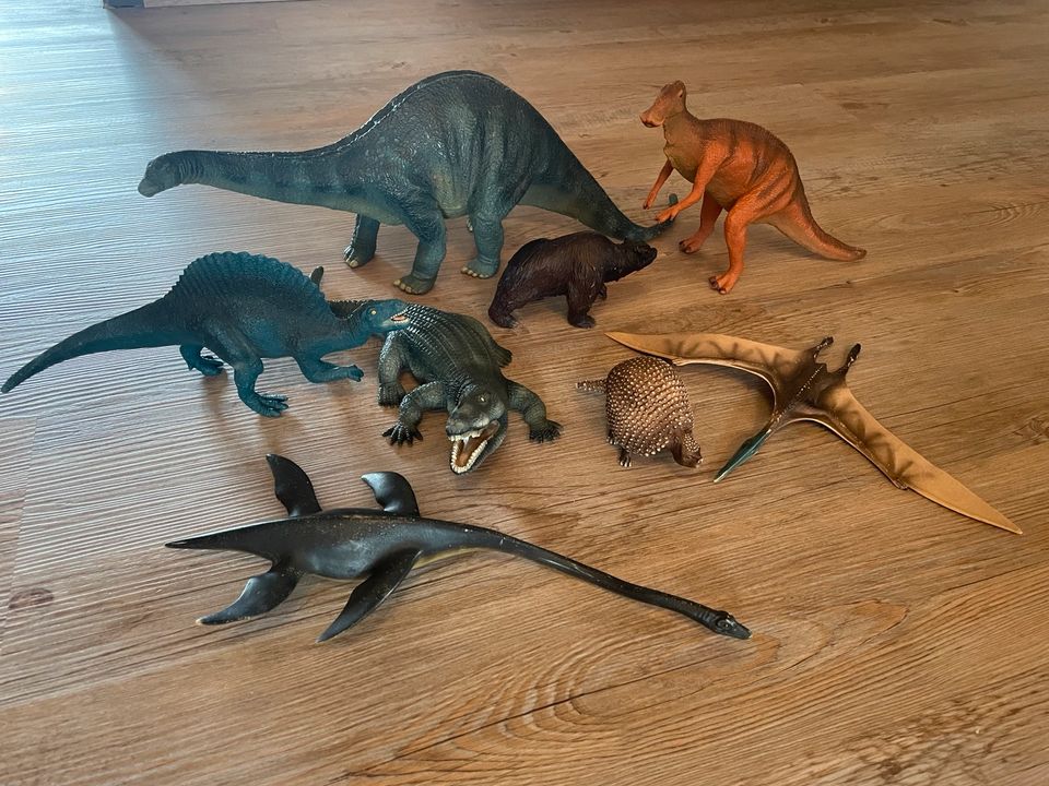 Schleich Dinosaurier 8 Stück in Bad Rappenau