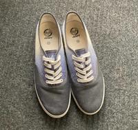 Blau weiße Schuhe Gr. 42 neuwertig Thüringen - Berga/Elster Vorschau