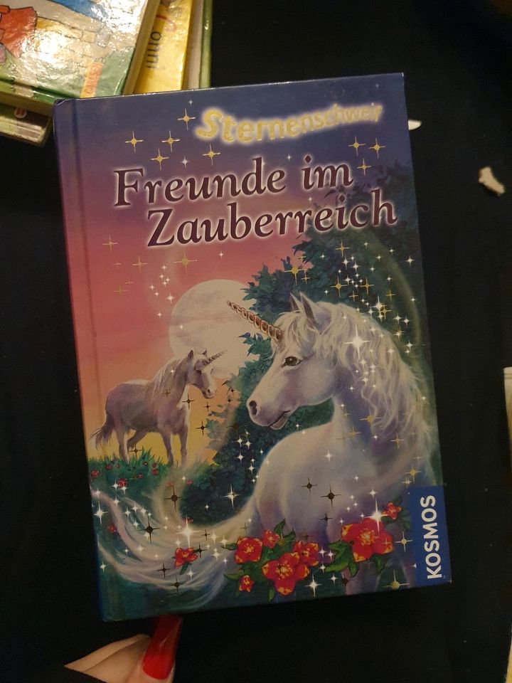 Bücher von Mein magisches pony in Hamburg