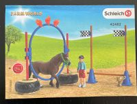 Schleich 42482 Pony Agility Sachsen - Thalheim/Erzgebirge Vorschau