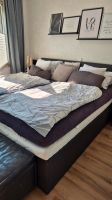 Boxspringbett 200x200 Nordrhein-Westfalen - Mülheim (Ruhr) Vorschau