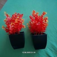 2 deko pflanzen Anrode - Lengefeld Vorschau