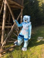 Fursuit Fullsuit Maskottchen Kostüm Bayern - Memmingen Vorschau