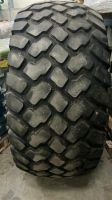 Reifendecke 800/60 R32 Alliance Niedersachsen - Visbek Vorschau