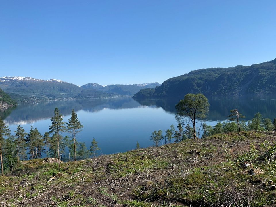 Traumhafte Grundstück an norwegischen Fjorden nähe Stavanger in Hamburg