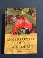 Enzyklopädie der Laubbäume Rheinland-Pfalz - Keidelheim Vorschau