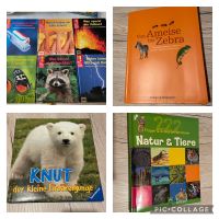 Bücher Sammlung Sachbücher wissenbücher Kinderbücher Brandenburg - Liebenwalde Vorschau