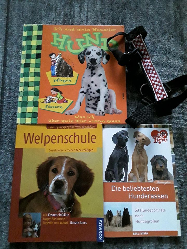 Hundegeschirr (Handmade), Buch Welpenschule, Hund und Hunderassen in Salzgitter