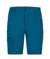 Icepeak Herren Shorts Größe 54 Türkis Neu Baden-Württemberg - Börslingen Vorschau